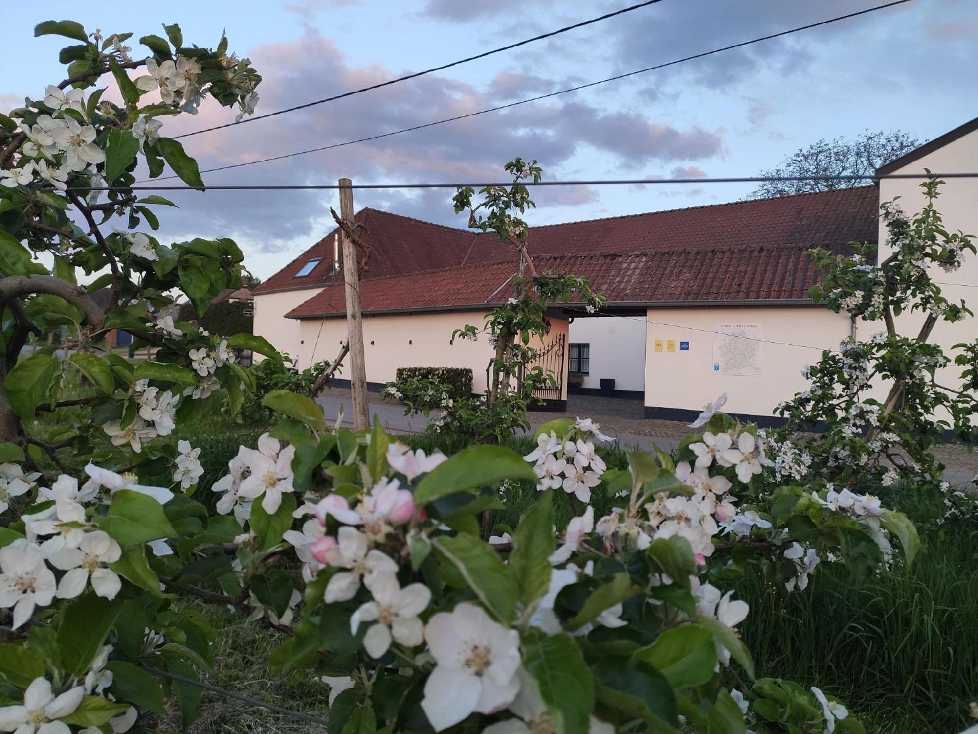 Het Hemelsveld Bed and Breakfast Hasselt Buitenkant foto
